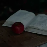 Novel
