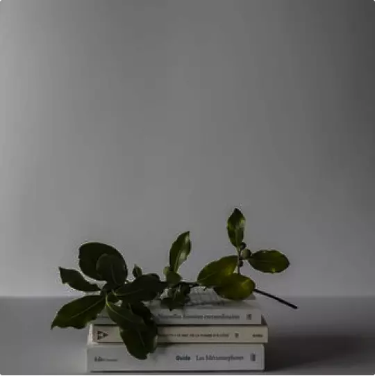 Buku anak