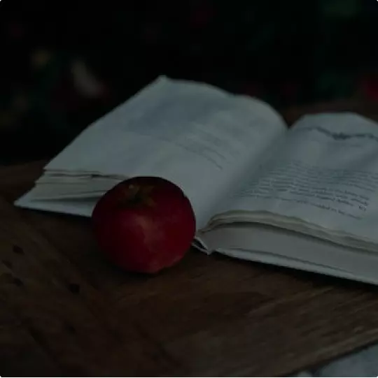 Novel